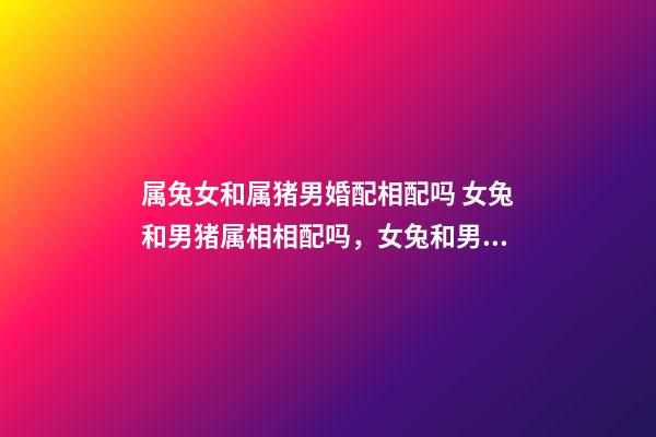 属兔女和属猪男婚配相配吗 女兔和男猪属相相配吗，女兔和男猪相配吗-第1张-观点-玄机派